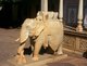 India: An elephant guards the gateway into one of the City Palace courtyards, Jaipur, Rajasthan